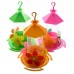 BEBEDOURO BEIJA FLOR TRAD.C/3 FLOR.C/06