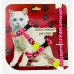 GUIA E PEITORAL LUXO GATO MACHO M