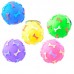 BRINQ.BOLA MINI  OSSO VINIL POTEC/24