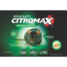 22964 - PEGA RATO ARMADILHA COLANTE