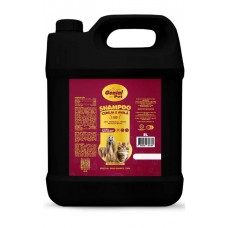 22051 - SHAMPOO CEREJA E AVELA 5LT