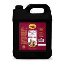 22052 - CONDICIONADOR CEREJA E AVELA 5LT