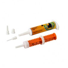 23042 - SERINGA PLASTICA G 30 ML 