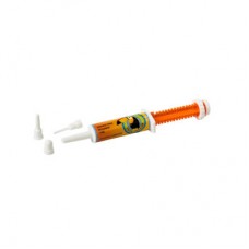 23043 - SERINGA PLASTICA P 15 ML 