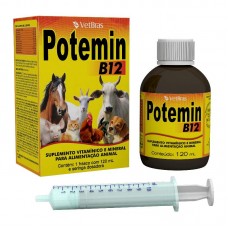 23046 - POTEMIN B12 120 ML 