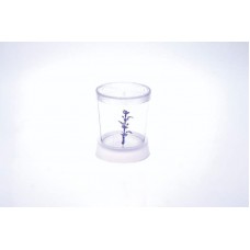 23138 - BETEIRA NANO C/ENFEITE 700ML TRANSPARENT