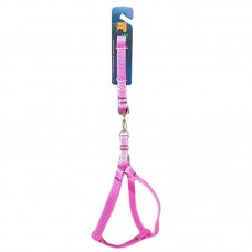 23306 - CONJ GUIA E PEIT. ANGOLA AMERICANO N1