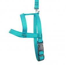 23312 - CONJ GUIA E PEIT. ANGOLA TRADICIONAL N1