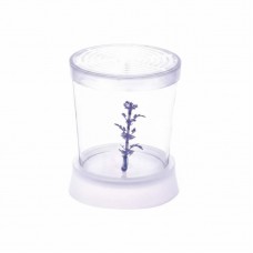 23138 - BETEIRA NANO C/ENFEITE 700ML TRANSPARENT
