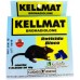 KELLMAT BLOCO CAIXINHA C/ 4 DE 20G