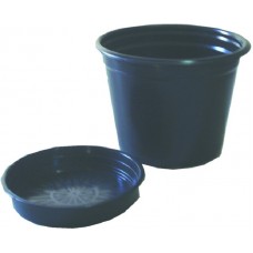 11907 - VASO NOBRE PRETO N. 20