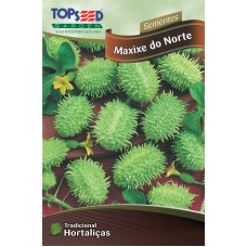 12054 - SEMENTES MAXIXE C/20