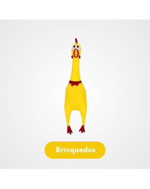 Brinquedo