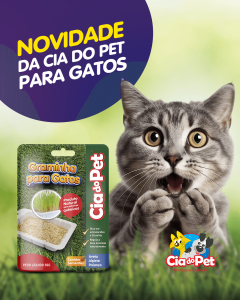 graminha para gatos