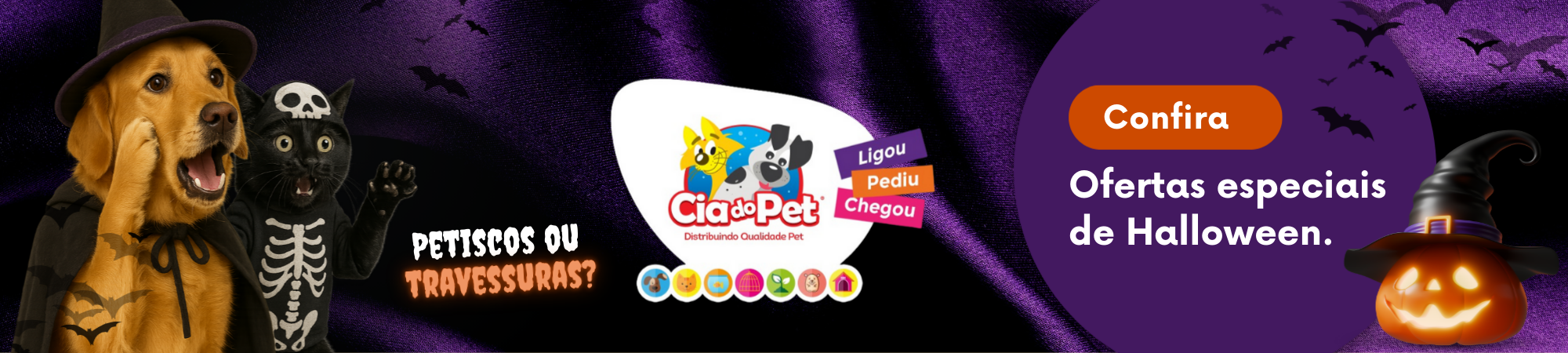 banner principal 