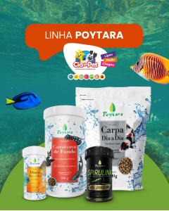 Poytara