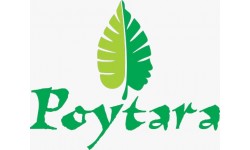 Poytara 